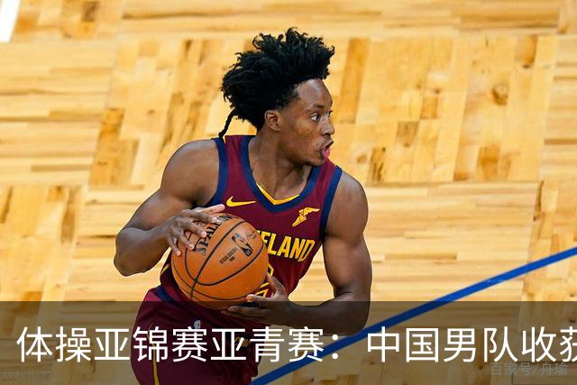 体操亚锦赛亚青赛：中国男队收获6枚金牌